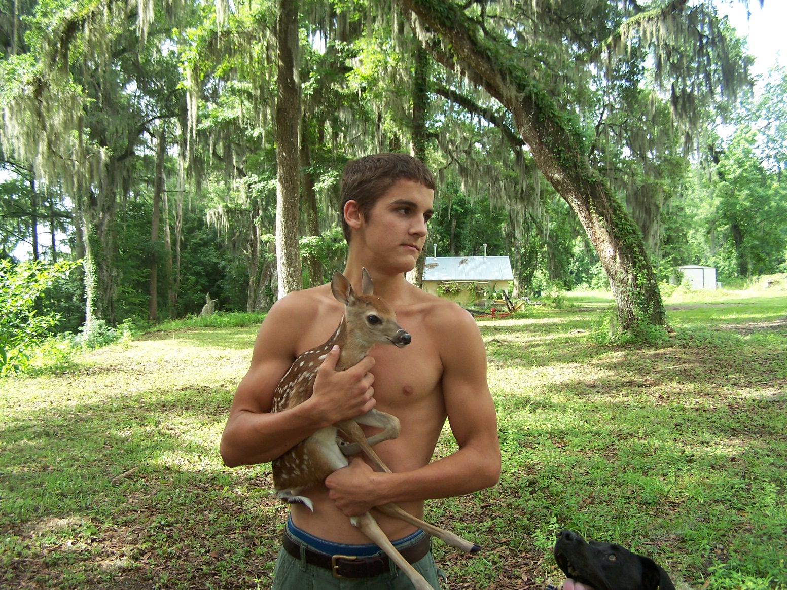 Ethan and baby deer